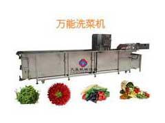 大型洗(xi)菜(cai)機JY-5000