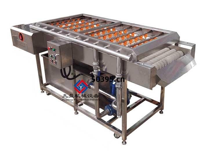 紅棗清洗(xi)機JYX-9100