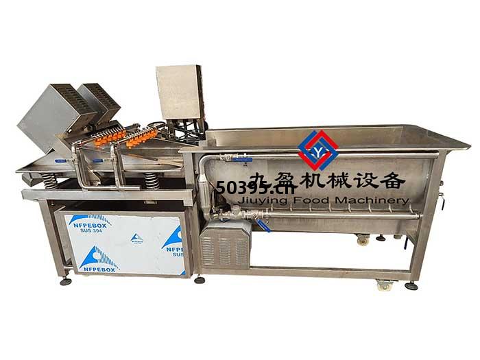 渦(wo)流式(shi)清洗(xi)+震動瀝幹機JYW-3000