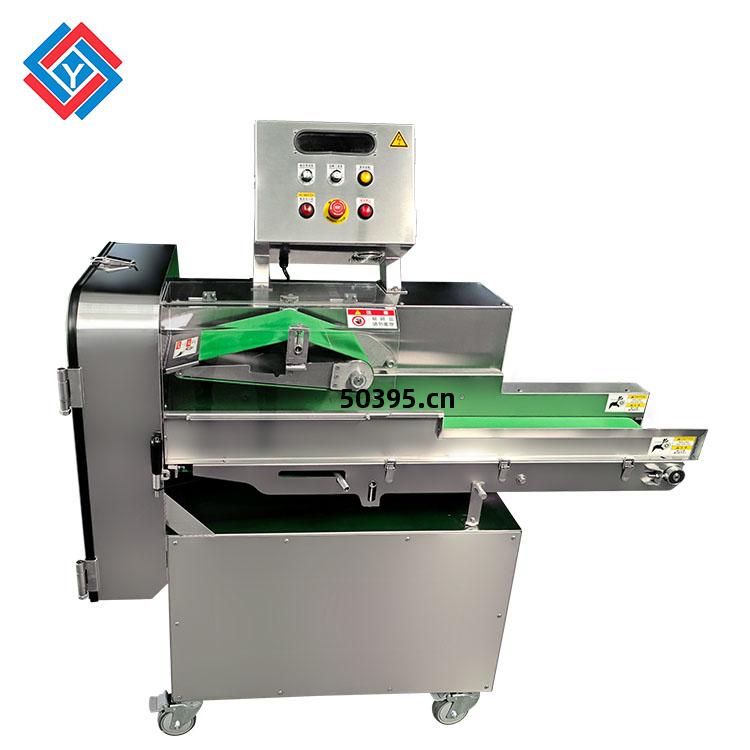 大型(xing)電動(dong)切(qie)菜機(ji)TJ-306A